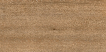 Autumn Titanium 100x24,8