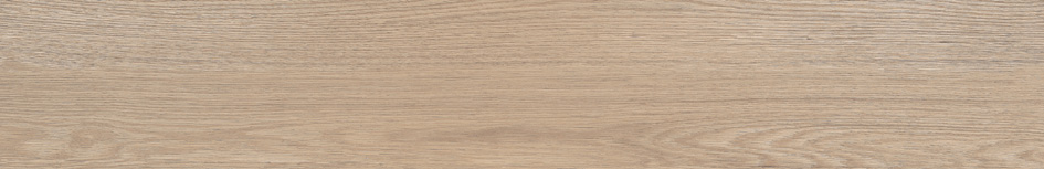 DELHI 20 ALMOND · 19,4X120