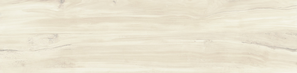 BARRICA 30 BONE · 30X120