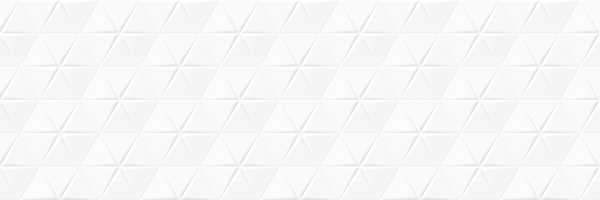 NARA 30X90