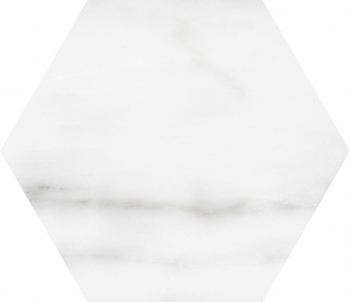 LOVE AFFAIRS- Calacatta Hexagon-20x23