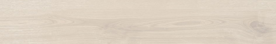 DELHI 20 BONE · 19,4X120