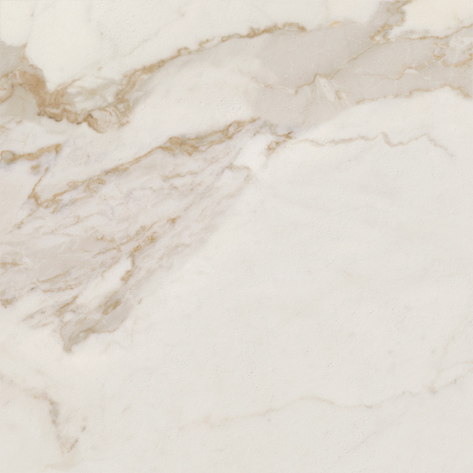 CALACATTA GOLD DRY 60 · 60x60