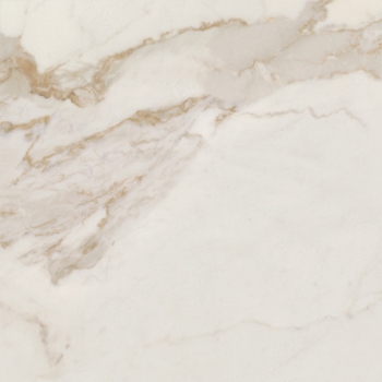 CALACATTA GOLD DRY 60 · 60x60