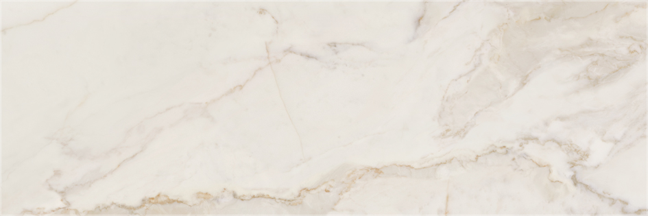 CALACATTA GOLD R120 GLOSSY · 40x120