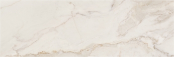 CALACATTA GOLD R120 GLOSSY · 40x120
