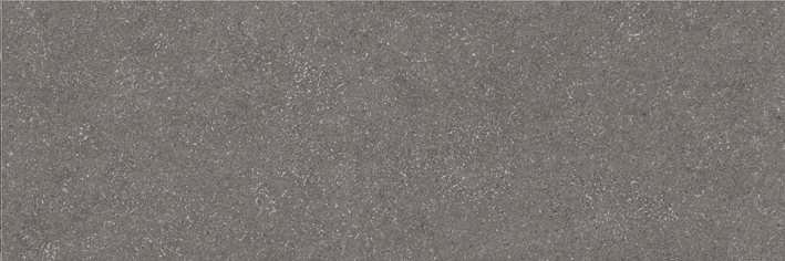 GOBI R90 GRAPHITE · 30x90