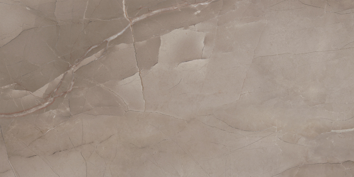 PASSION LUX 90 TAUPE · 45x90