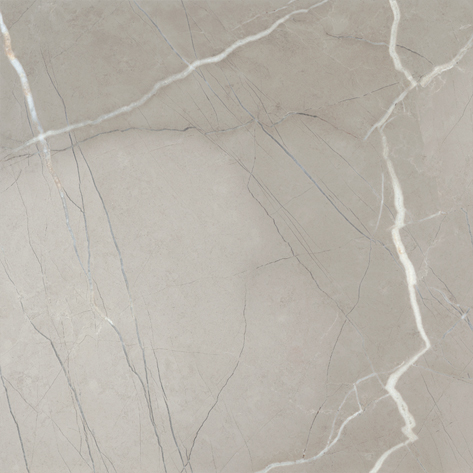 PASSION LUX 60 GREY · 60x60