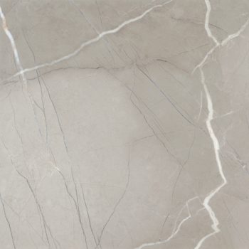PASSION LUX 60 GREY · 60x60