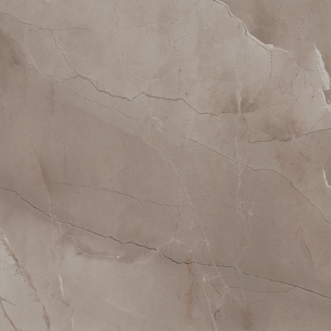 PASSION LUX 60 TAUPE · 60x60