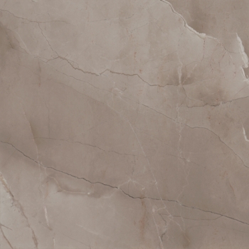 PASSION LUX 60 TAUPE · 60x60