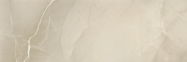 PASSION R90 CHAMPAGNE · 30x90