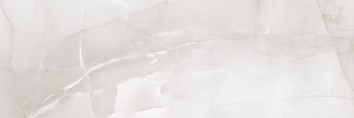 PASSION R90 ICE · 30x90