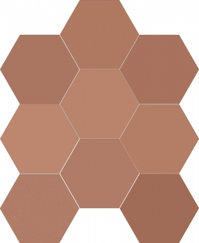 CHICAGO EXA GINGER 21.5X25