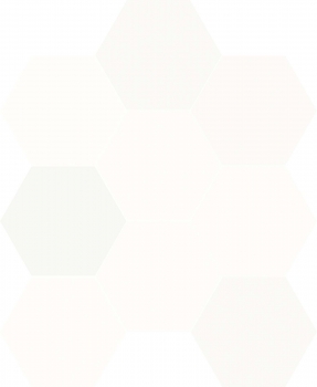 CHICAGO EXA WHITE COTTON 21.5X25