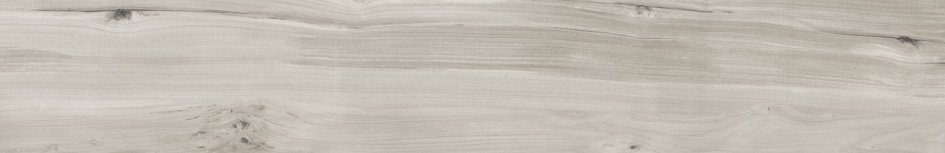 BARRICA 20 GRIS · 19,4X120