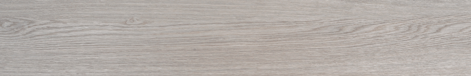 DELHI 20 ASH · 19,4X120