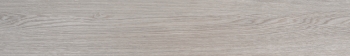 DELHI 20 ASH · 19,4X120