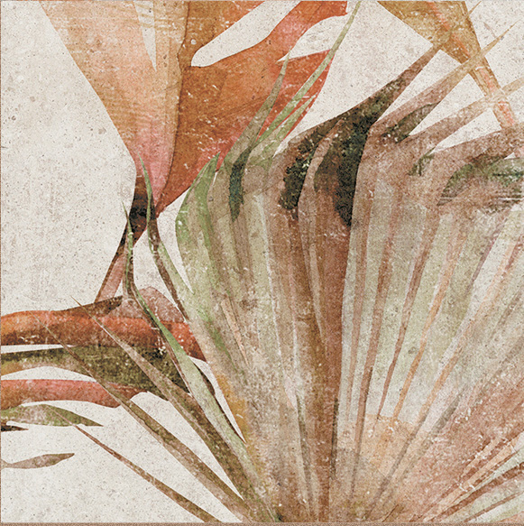 Amazonia · Tropic Cotto 13,8x13,8