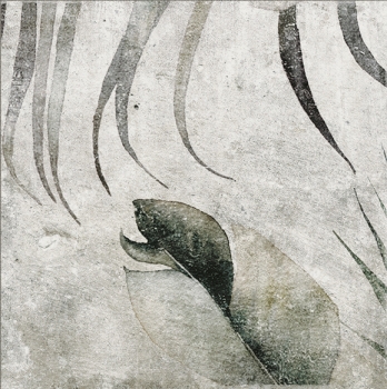 Amazonia · Tropic Grey 13,8x13,8