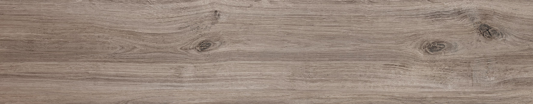 Hamilton Ash · 23x120