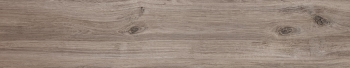 Hamilton Ash · 23x120