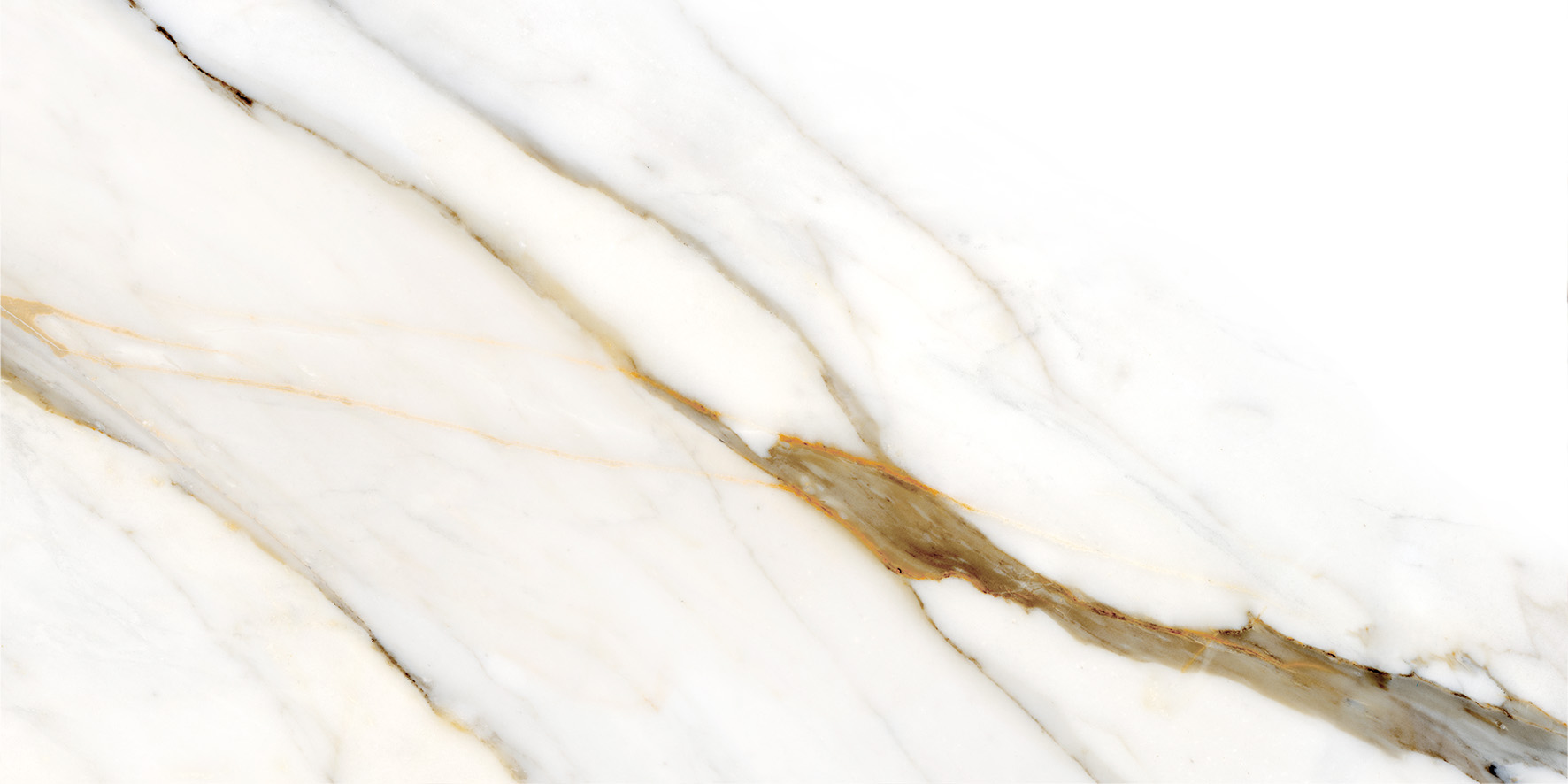 Calacatta Gold · 60x120