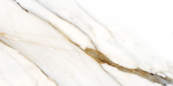 Calacatta Gold · 60x120