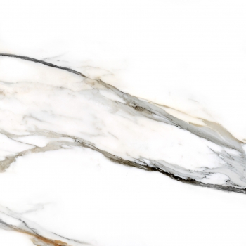 Calacatta Gold · 120x120