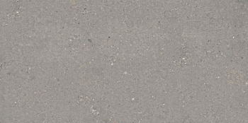 VINCENT STONE 120 DARK GREY · 60X120