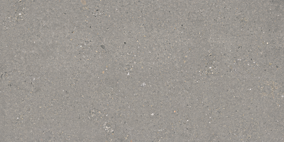 VINCENT STONE 120 DARK GREY · 60X120