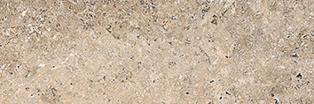 MAXFORT TAUPE 10X30
