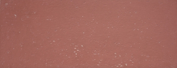 GOLDSTONE BURGUNDY 35X90