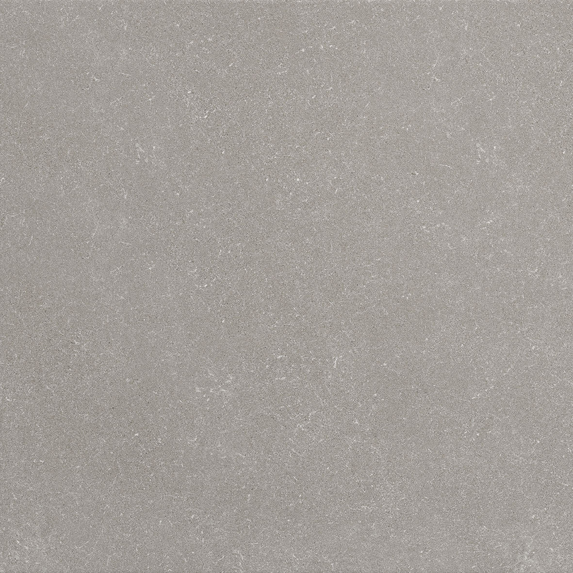 Weekend Vison 60x60 R