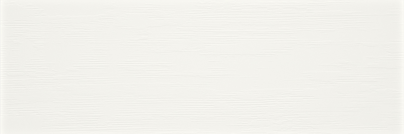 Silence Blanco 40x120 R