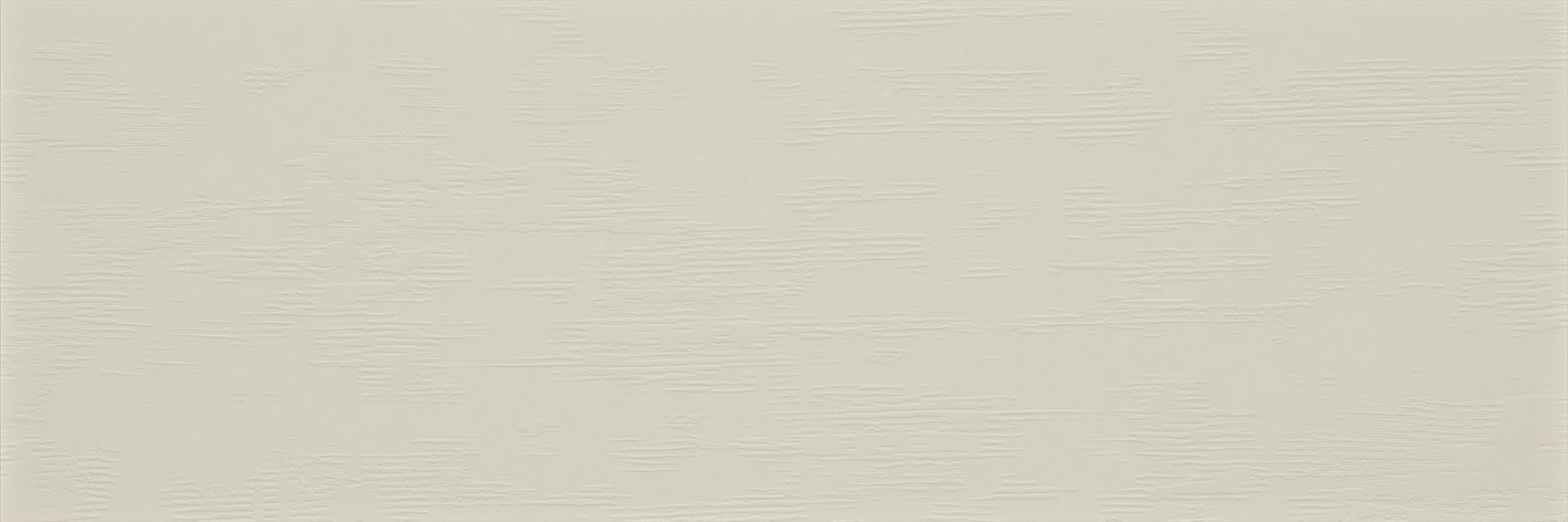 Silence Tender Grey 40x120 R