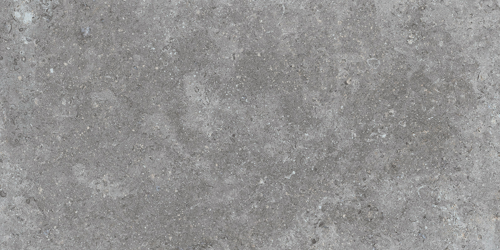 ETIENNE GREY 60x120