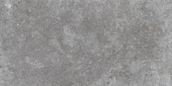 ETIENNE GREY 60x120