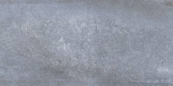 Rue de Paris Acero 25x50