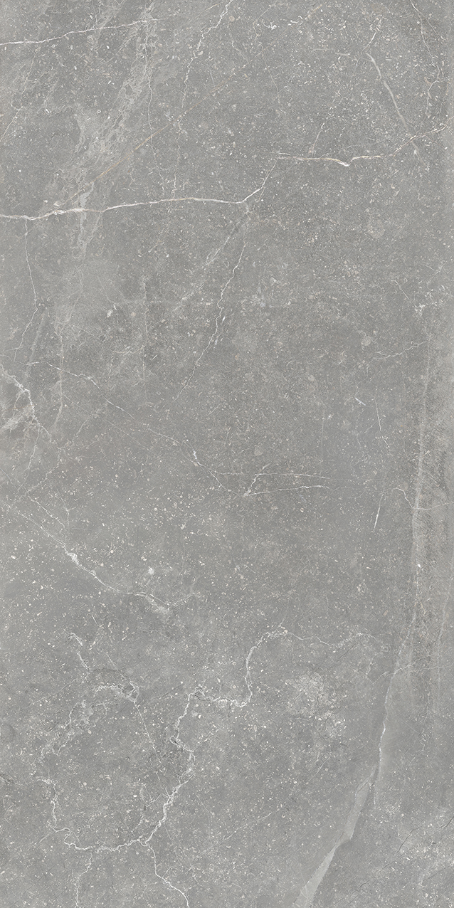 Bleuemix Grey 60x120