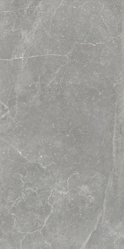 Bleuemix Grey 60x120