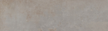 Gravity Silver 29x100