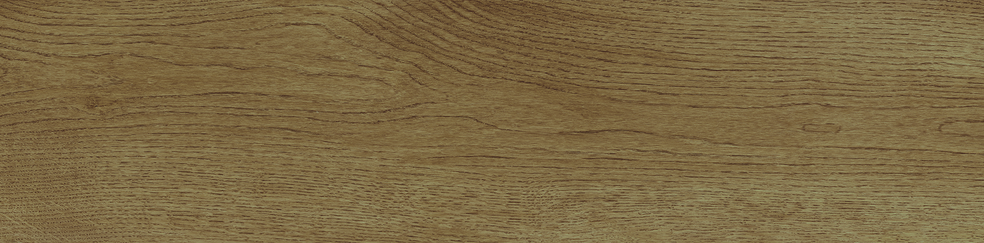 Timeless Titanium 100x24,8