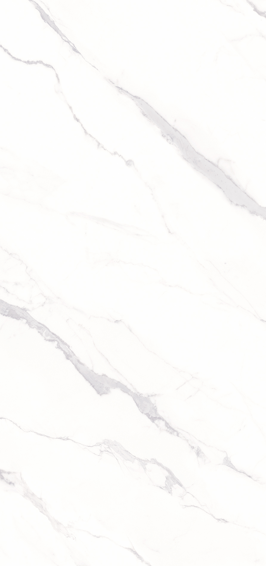 Aria White - 154x328