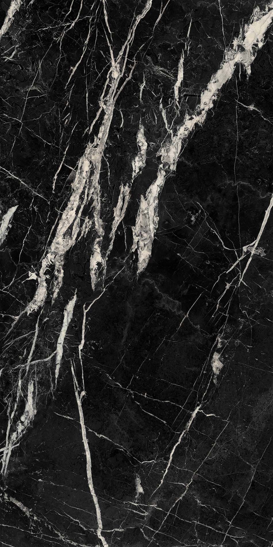 Marquina Black - 150x300