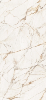 Calacatta Gold - 154x328