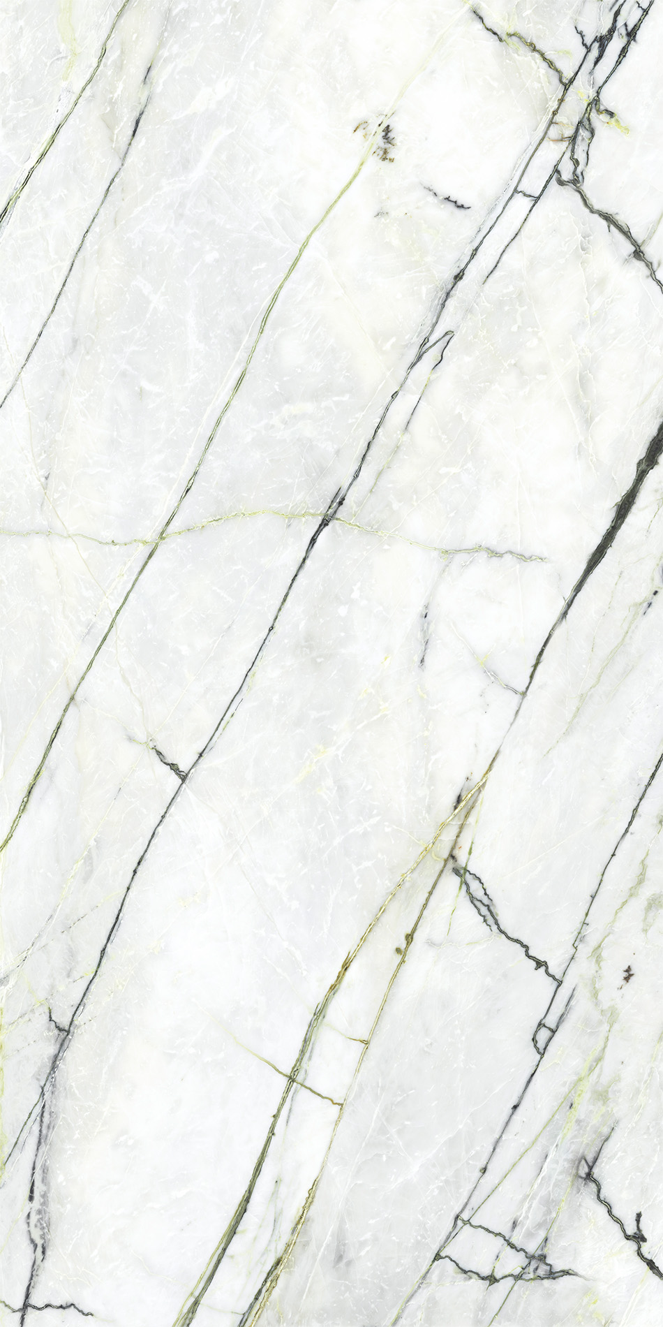 Calacatta Green - 150x300