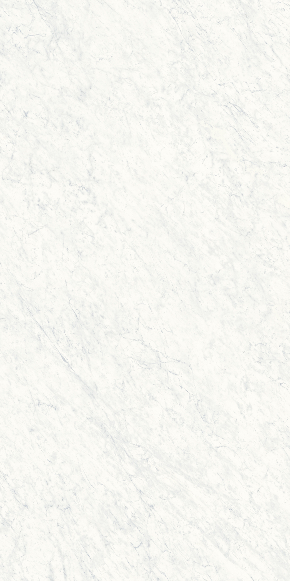 Carrara White - 150x300