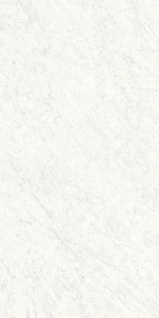 Carrara White - 150x300